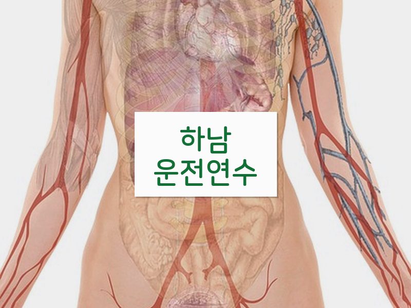 하남운전연수 후기