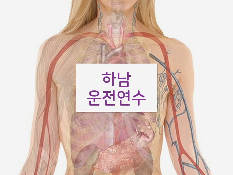 하남운전연수 후기
