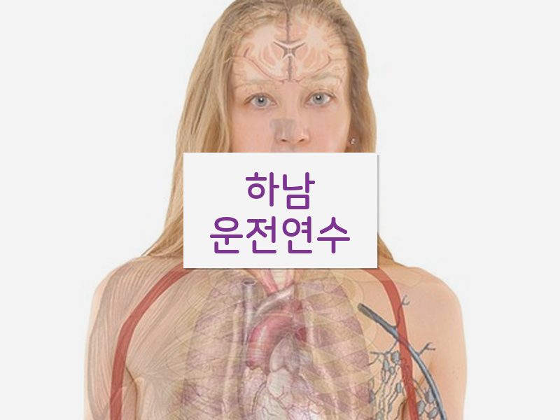 하남운전연수 후기