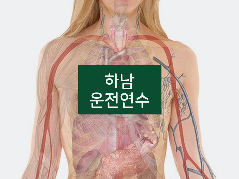 하남운전연수 후기
