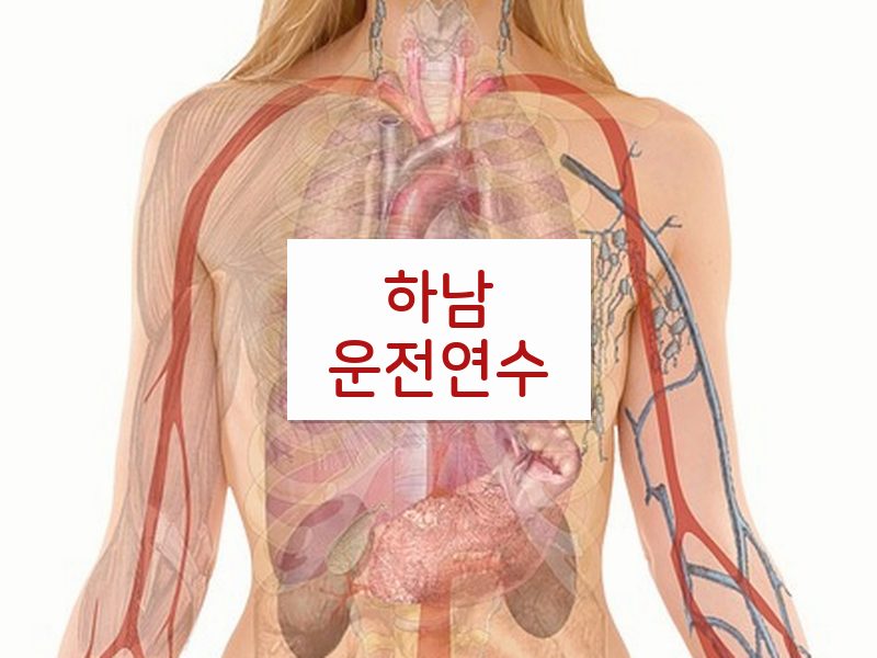 하남운전연수 후기