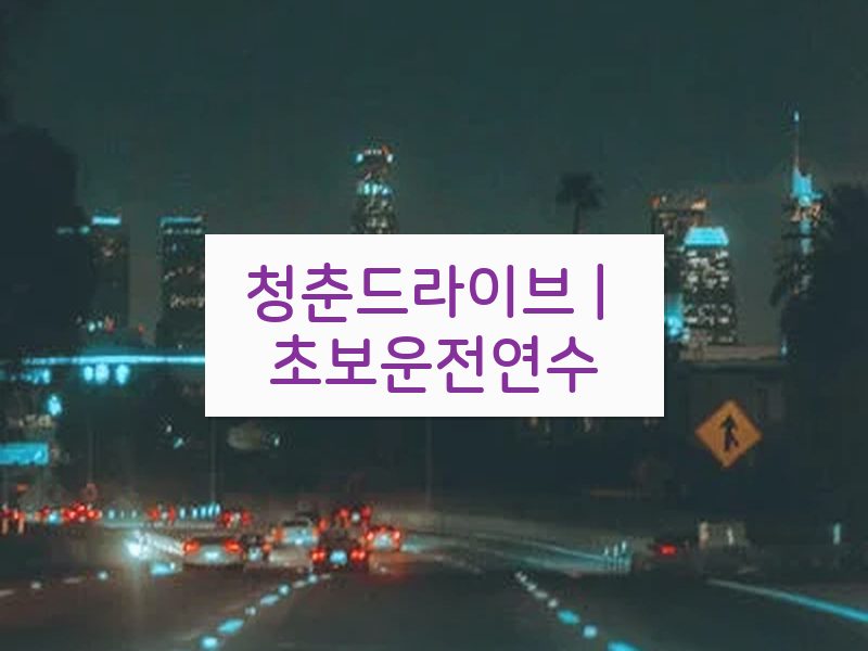 청춘드라이브 | 초보운전연수 후기