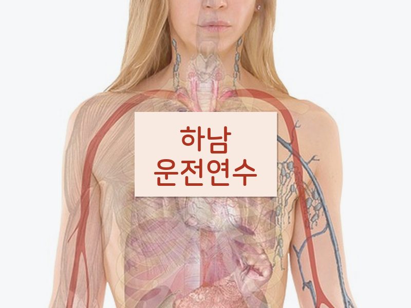 하남운전연수 후기