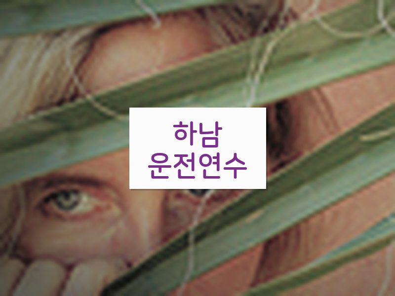 하남운전연수 후기