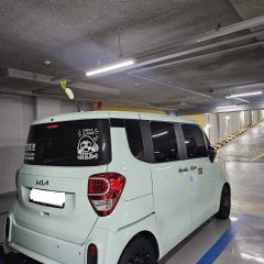 안전이 최우선인 강사님