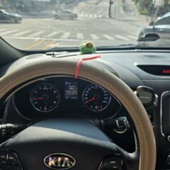 긴급 상황 대처 연습