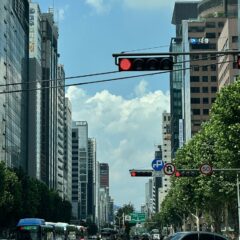 아이들 학교까지 운전 연습