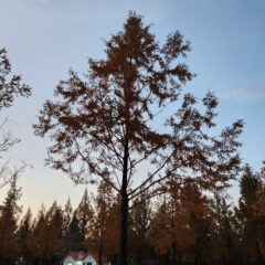 하남운전연수 후기 남깁니다