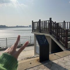 장거리 운전, 지치는 건